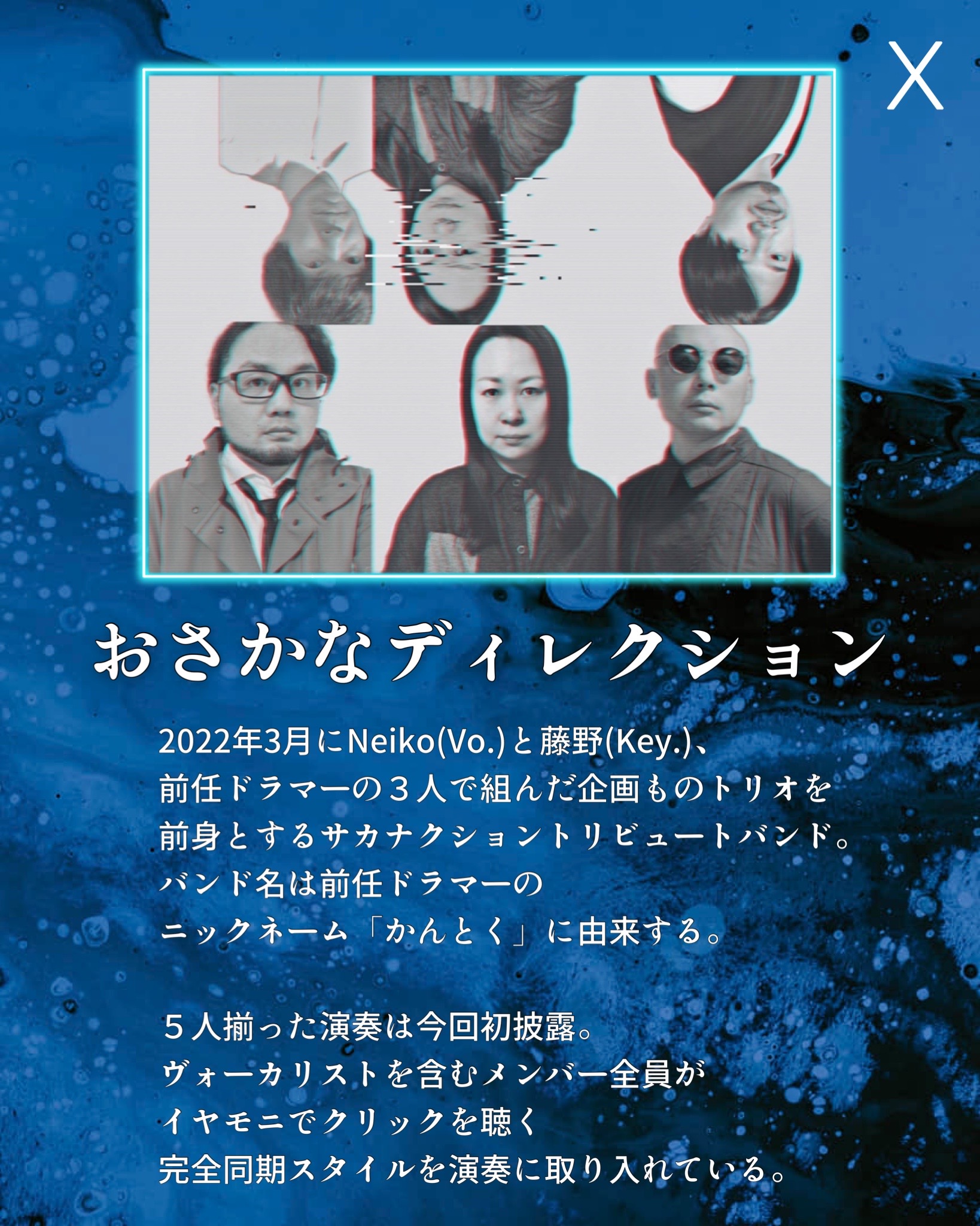 おさかなディレクション